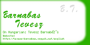 barnabas tevesz business card